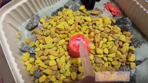 Сенсорная коробка «Вулкан»