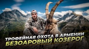 Трофейная охота в Армении. Безоаровый козерог.