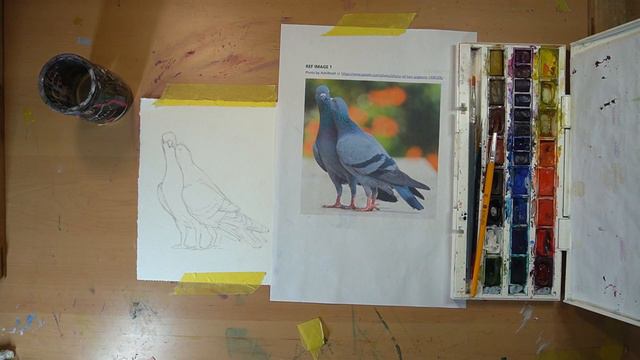 Kimberley Bevan art classes: Pigeons in Watercolour Tutorial смотреть онлайн