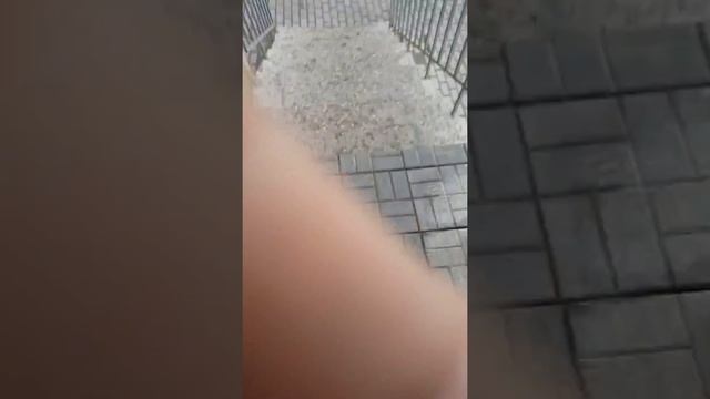 Как мне не продали фреш бар(Видное) смотреть онлайн