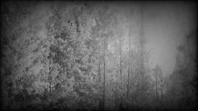 BYPASS ID ROBLOX смотреть онлайн