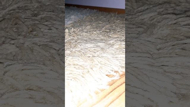 Samsung sms 5100 subwoofer bass test i fre air test смотреть онлайн