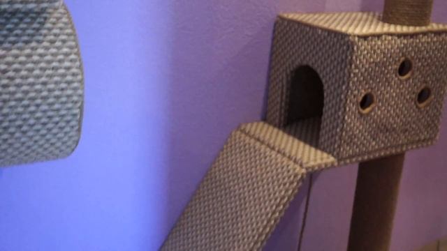 Когтеточки, полочки и домики для кошек в питомнике смотреть онлайн