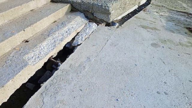 Всем привет ?Поиск на пляже с металоискателем