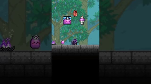 Питомцы которых можно совместить в Terraria #terraria #террария смотреть онлайн
