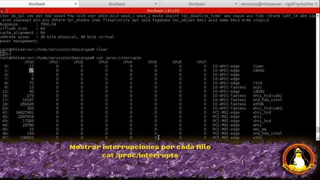Comandos para informarnos sobre nuestro procesador o CPU - Básico Linux смотреть онлайн