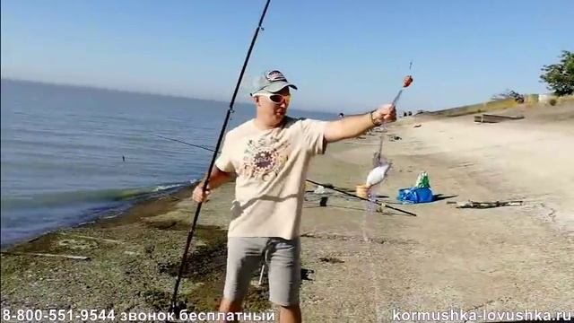 Отзыв о кормушке ловушке FindFish.Купить, отзывы, цена. Китайская сетка с кормушкой купить в России смотреть онлайн