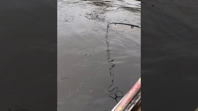 Кольский п/ов. Рыбалка с сыном на севере 2020. Ловим щук и окуней ? смотреть онлайн