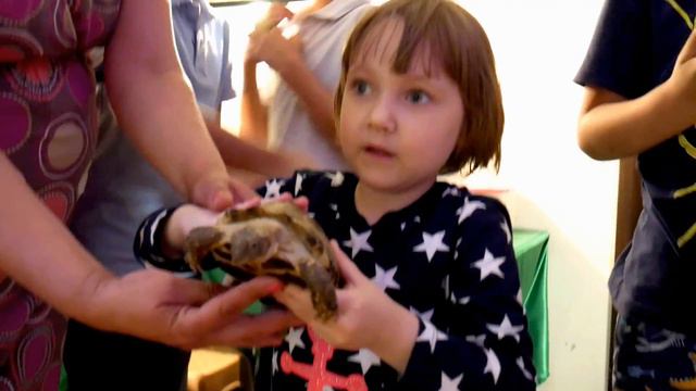 Контактный зоопарк. Днепр. Центральный парк. смотреть онлайн