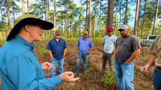 Enhancing Deer Habitat with Timber, Soil, and Food | Grant & Daniel's Expert Advice смотреть онлайн