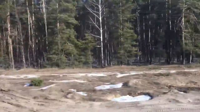 Воронежский заповедник из окна поезда смотреть онлайн