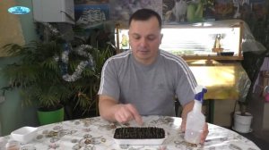 Проблема с выращиванием вербены? Смотрите это видео!