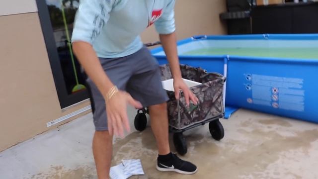 Colorful CRAW-FISH ARMY in My AQUARIUM!! смотреть онлайн