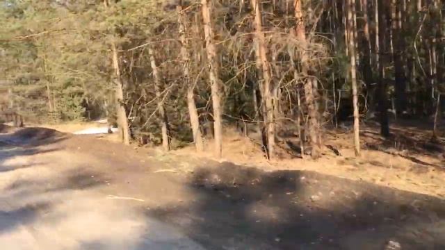 Первая поездка на велосипеде 20 км смотреть онлайн