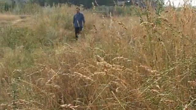 СТРАДА смотреть онлайн