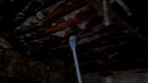 Дезинфекция помещения под заселение БРОЙЛЕРОВ