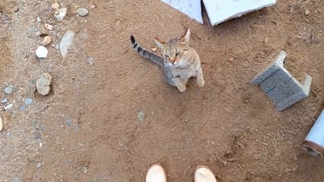 В ДЕРЕВНЮ ЗДЕСЬ ОДИН ТАМ ДРУГАЯ. РАБОТАЕМ смотреть онлайн