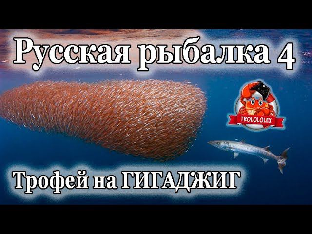 Русская рыбалка 4 Норвежское море Трофей на ГИГАДЖИГ смотреть онлайн