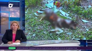 Один из притоков реки Малая Кема около села с одноименным названием исчезает под горой мусора