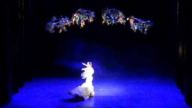 Flamenco Sandra Domingo/ bata de cola смотреть онлайн
