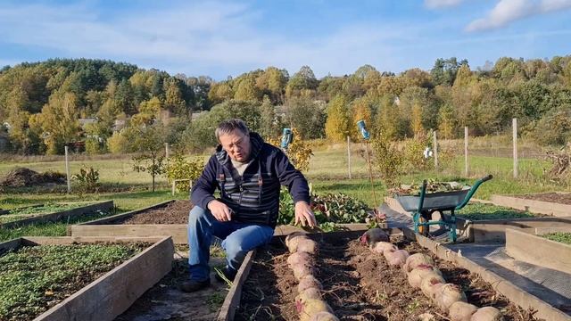 Выращивание свеклы смотреть онлайн