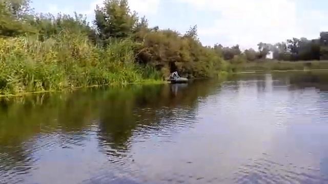 Низовье реки Воронеж. смотреть онлайн