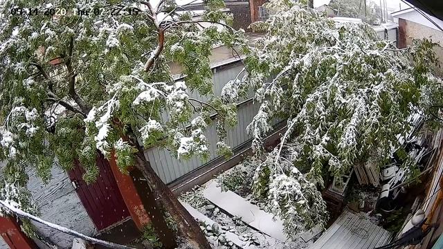 IP-камера  Hikvision  DS-2DE2A204IW-DE3(C)         Video  Test   视频监控