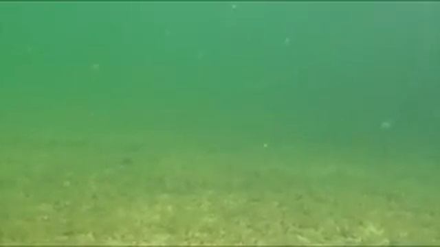 JL-062 / JL-061 Strike Pro Vobler Alpha Diver 110 90 смотреть онлайн