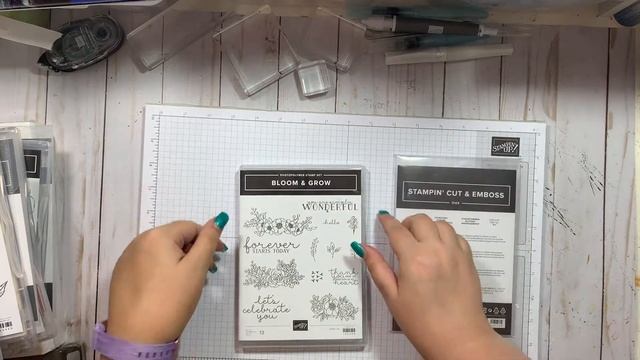 Stampin' Up! Preorder Unboxing смотреть онлайн