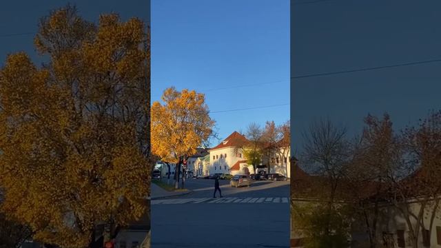 Осень в Пскове 🍂 смотреть онлайн