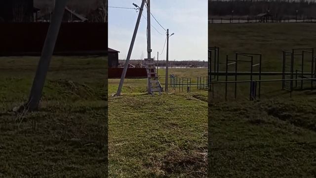 Дом с участком в хуторе Пухляковском Ростовской области. Цена дома в Пухляковке 12 млн.р. смотреть онлайн