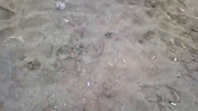 Черноморское, бунгало, утро... смотреть онлайн