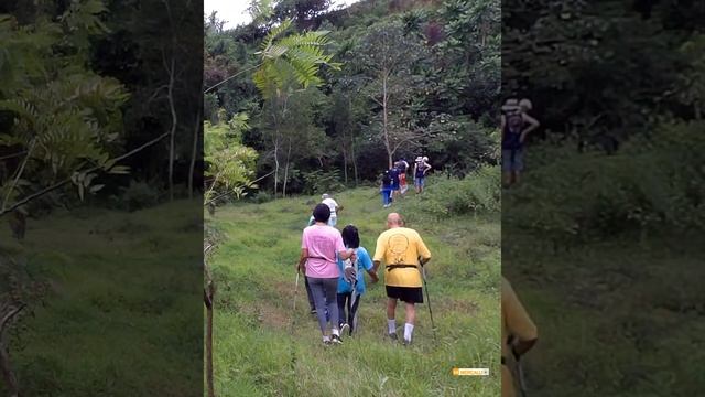 Hiking in Valley #cebutravelguide #travel смотреть онлайн