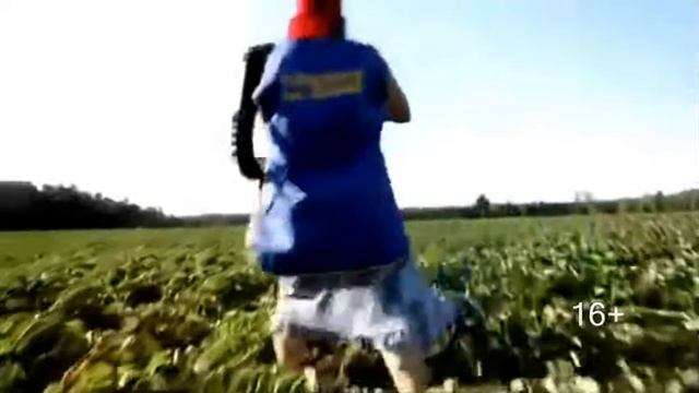 Настоящая клубника совхоза им Ленина смотреть онлайн