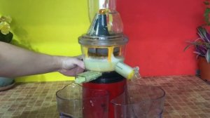 Сок из лука. Луковый сок