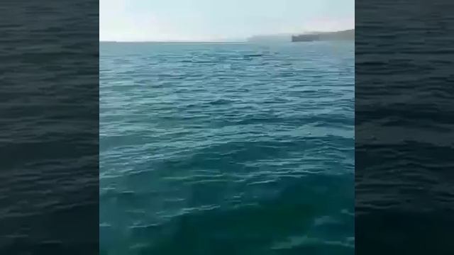 Удивительные гости ).mp4 смотреть онлайн