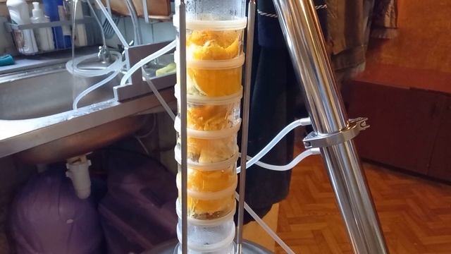 Цитрусовый мацерат на DomSpirt