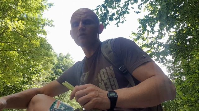 ЛОПУХ БЕЛОКОПЫТНИК / СЪЕДОБНОЕ РАСТЕНИЕ смотреть онлайн