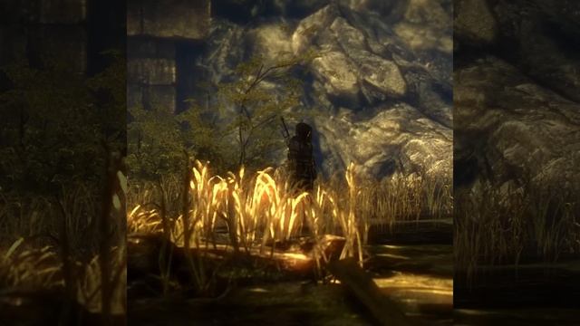 Геральт встречает Кейрана Ведьмак 2 Убийцы королей смотреть онлайн