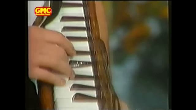 Die Woodys - Fichtl's Lied (perfect Loop)