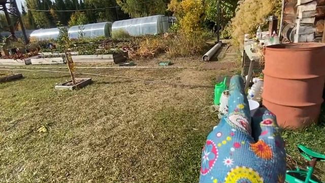 Надоели огурцы. Нет перцев и баклажанов. Большие планы на будущий год! смотреть онлайн