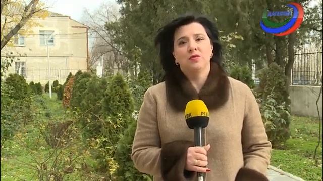 Городская среда смотреть онлайн