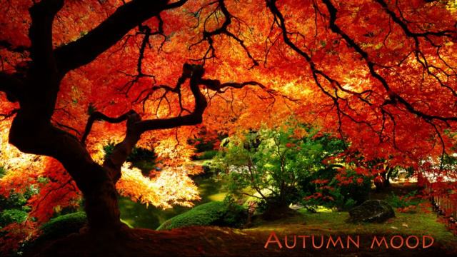 M.T Music - Autumn Mood смотреть онлайн