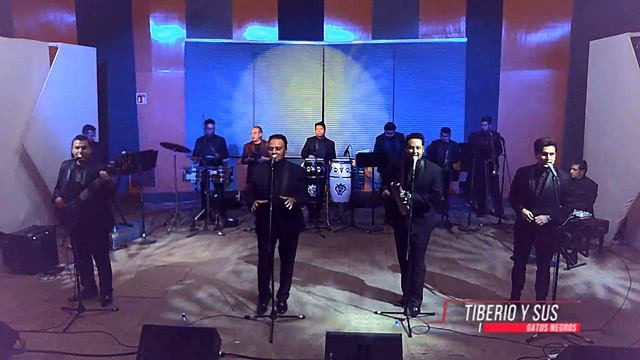 Tibero y sus gatos negros en #ClandestinoSessions смотреть онлайн
