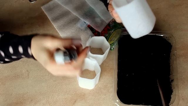 ПЕЛАРГОНИЯ КАК ПРАВИЛЬНО ВЫРАЩИВАТЬ ИЗ СЕМЯН ГЕРАНЬ ИНТЕРЕСНЫЙ СПОСОБ !!! смотреть онлайн