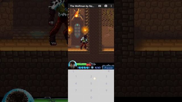 The Wolfman Java Game - Walkthrough - Level 4 : The Crypt Part 2 смотреть онлайн