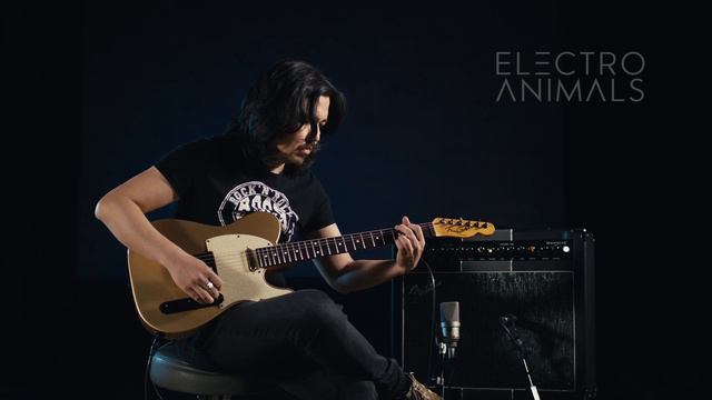 Electro Animals Tele Standard Chameleon Pickup Set смотреть онлайн