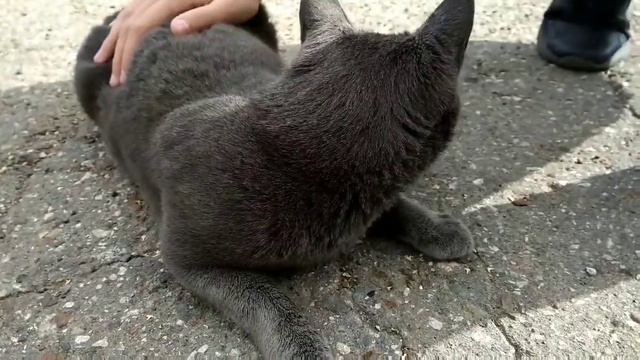 Слендермен!!! Разоблачение и история !!! смотреть онлайн