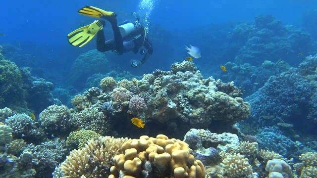 Hurghada Coral Diving