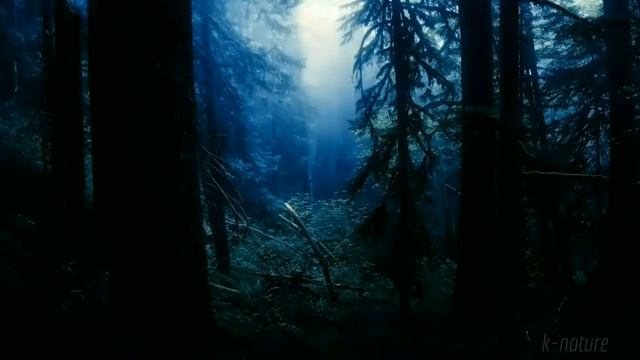 Святые книги и смешные курсы